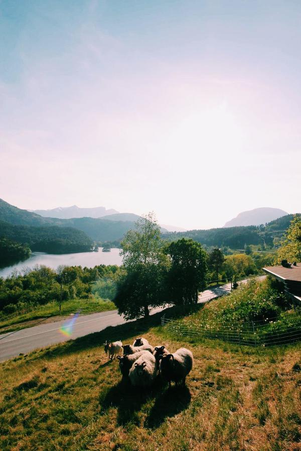 Gjerdset Turistsenter